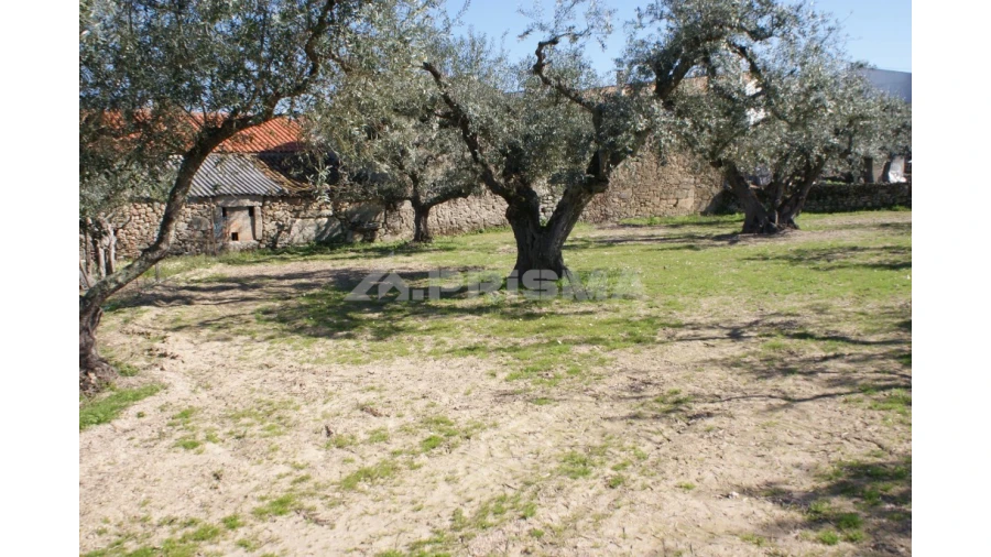 Quinta para Venda em Orca Foto 14