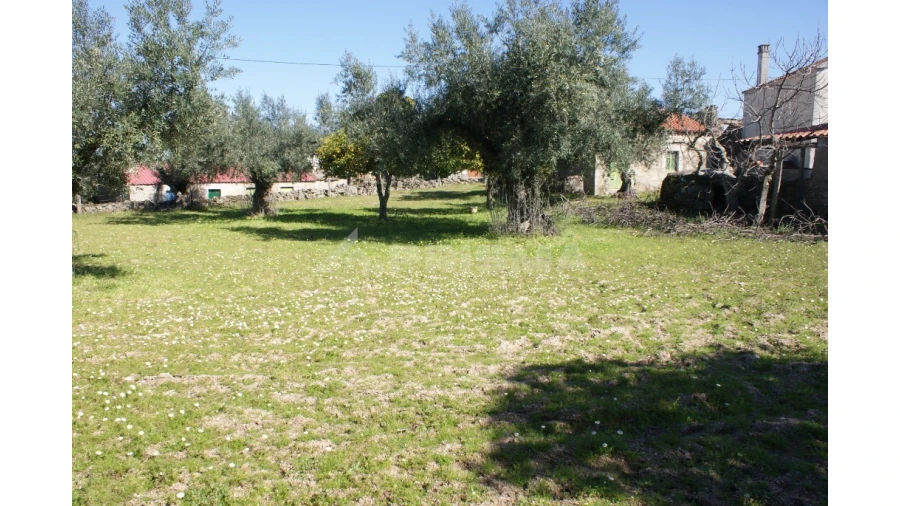 Quinta para Venda em Orca Foto 17