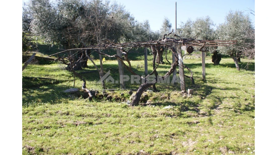 Quinta para Venda em Orca Foto 13