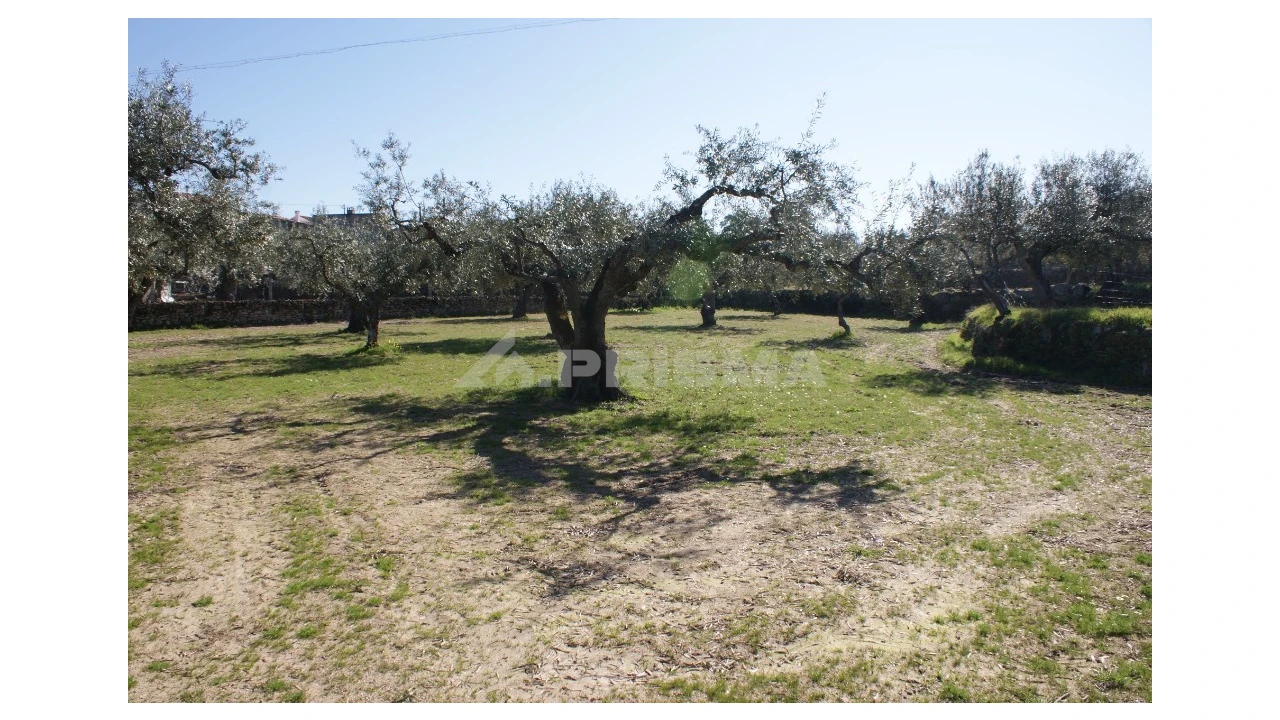 Quinta para Venda em Orca Foto 9