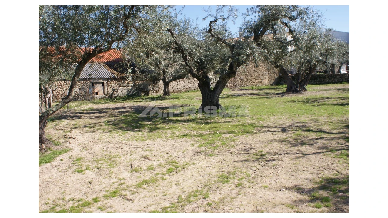 Quinta para Venda em Orca Foto 14