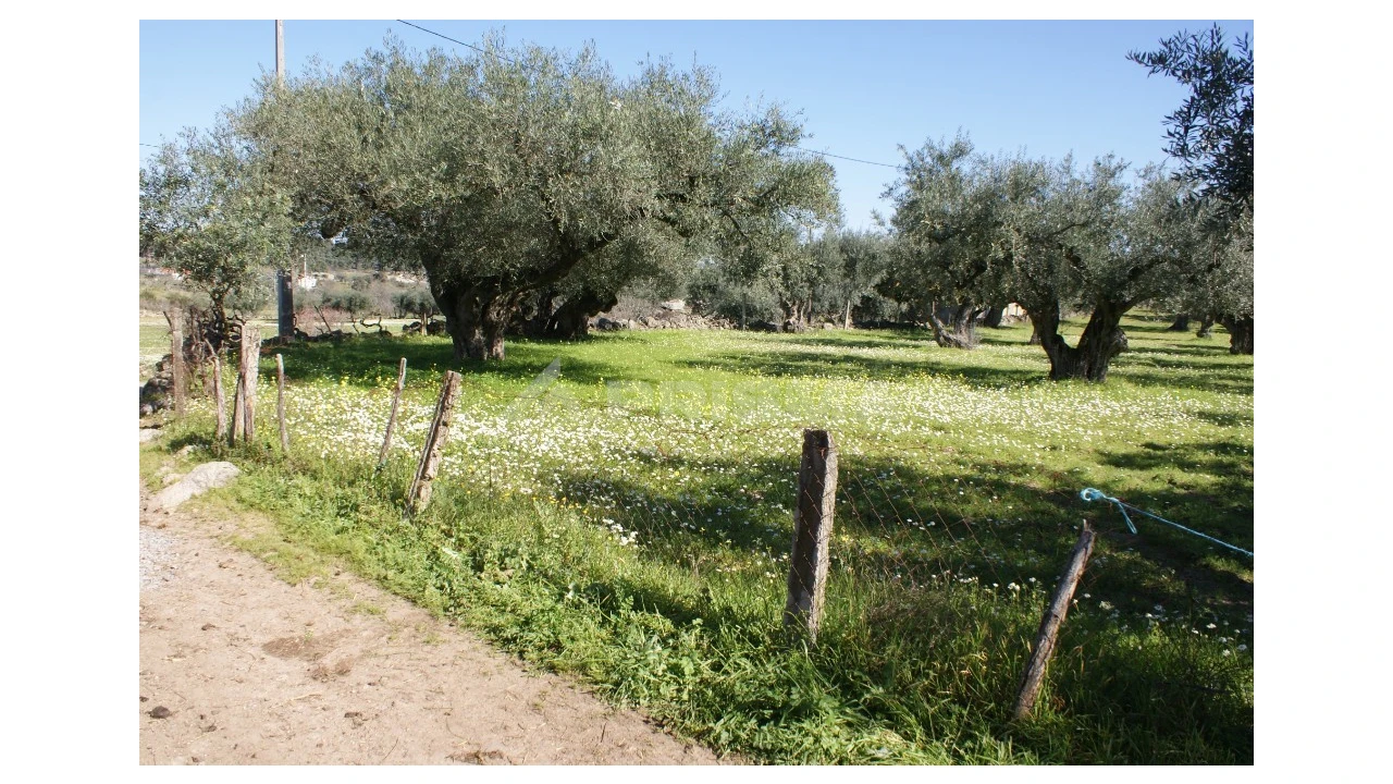 Quinta para Venda em Orca Foto 8