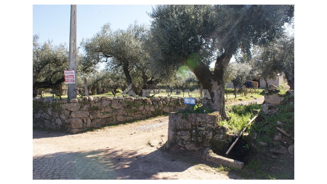 Quinta para Venda em Orca Foto 5