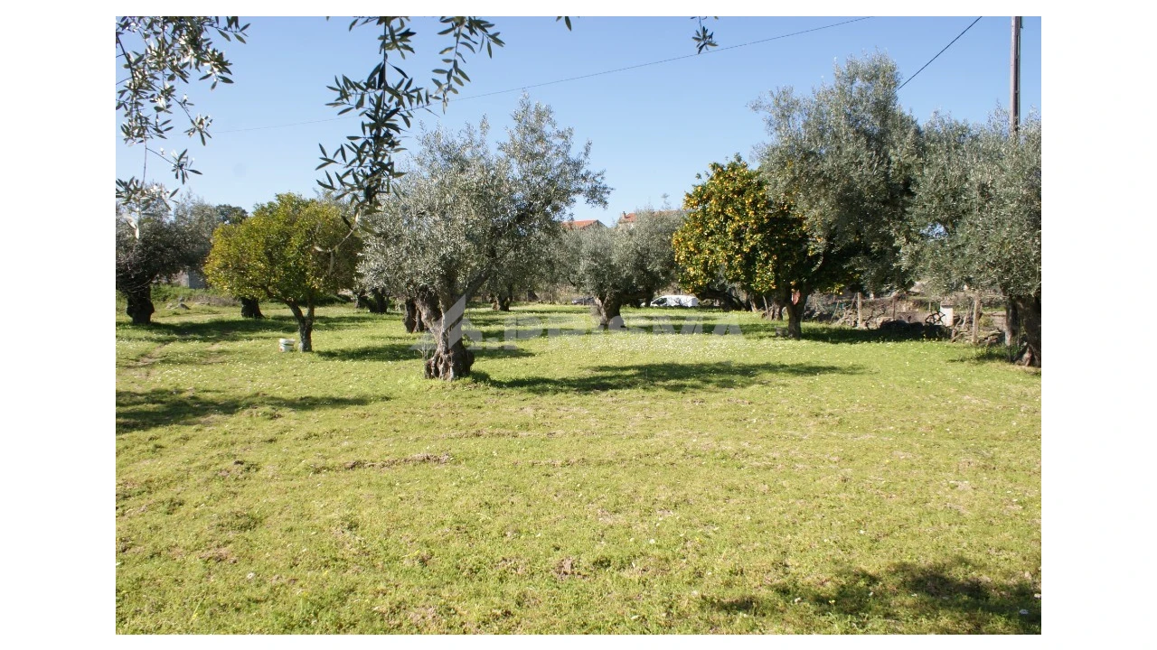 Quinta para Venda em Orca Foto 7