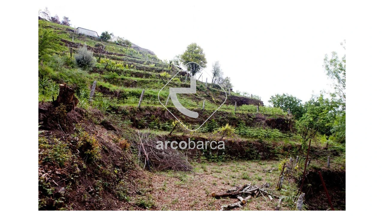 Moradia T2 para Venda em Prozelo Foto 14