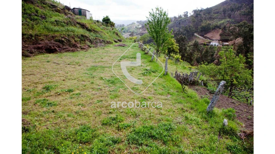 Moradia T2 para Venda em Prozelo Foto 12