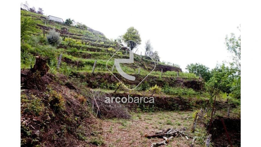 Moradia T2 para Venda em Prozelo Foto 14