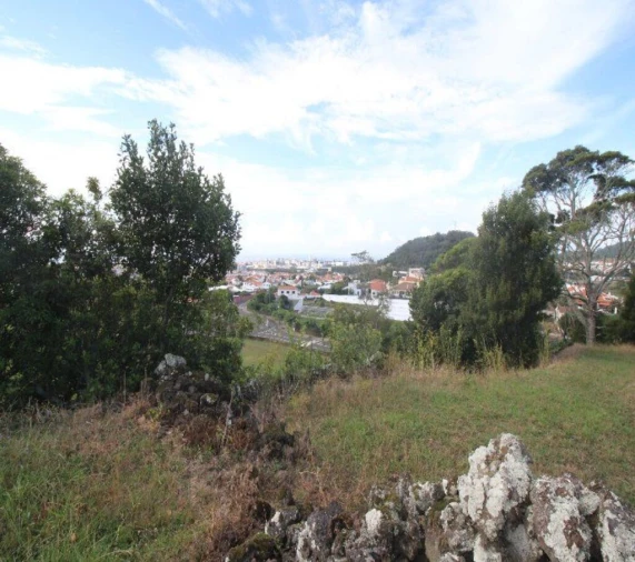 Terreno para Venda em Fajã de Baixo Foto 12