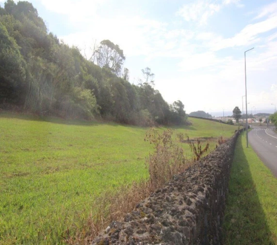 Terreno para Venda em Fajã de Baixo Foto 18