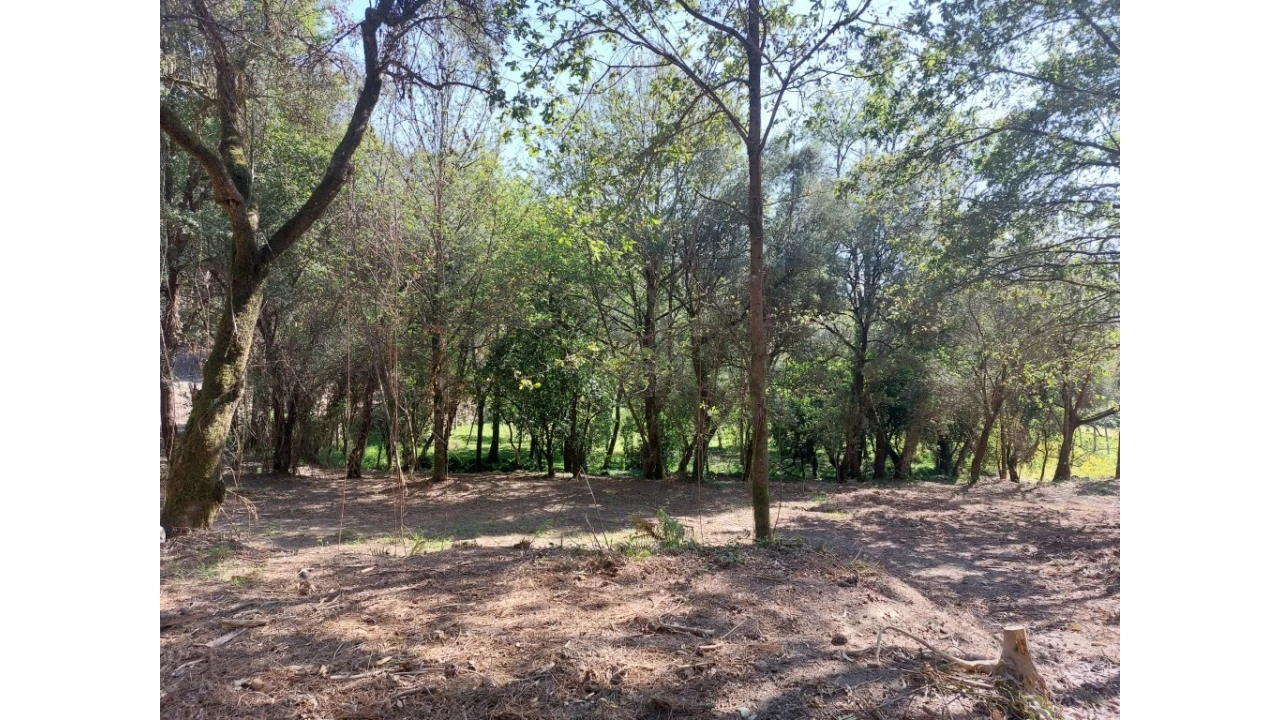 Quinta para Venda em Caires Foto 5