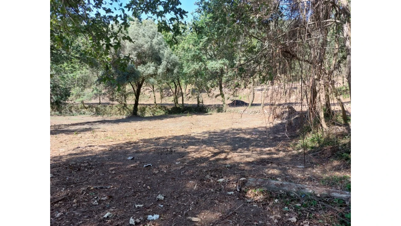 Quinta para Venda em Caires Foto 21