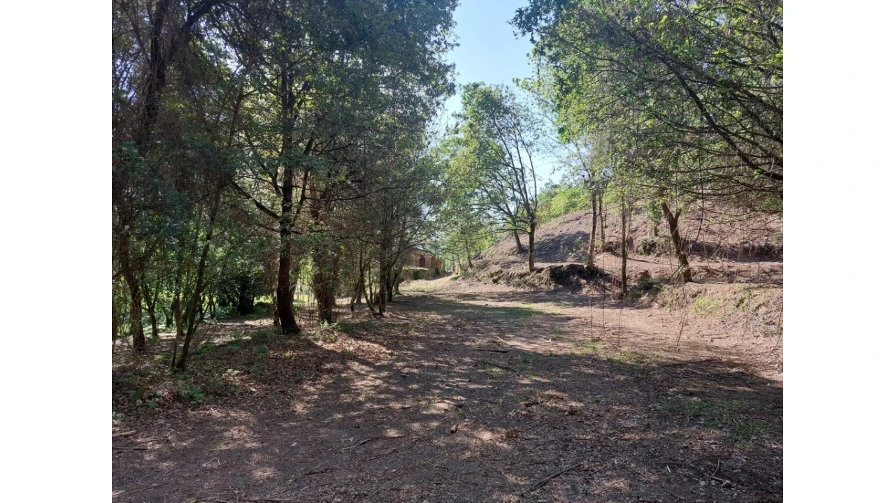 Quinta para Venda em Caires Foto 23