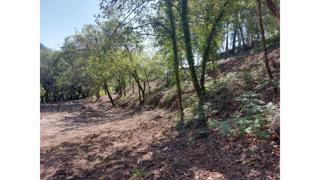 Quinta para Venda em Caires Foto 6