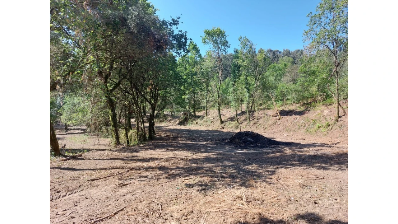 Quinta para Venda em Caires Foto 20