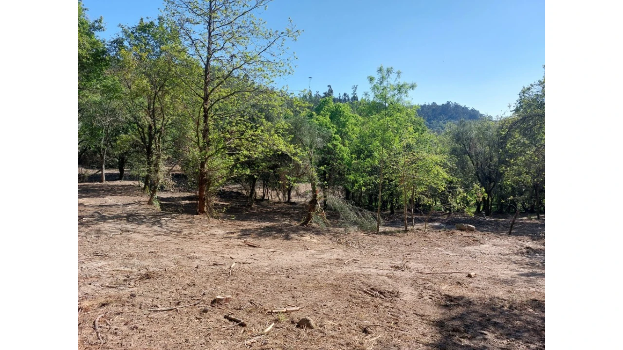 Quinta para Venda em Caires Foto 7