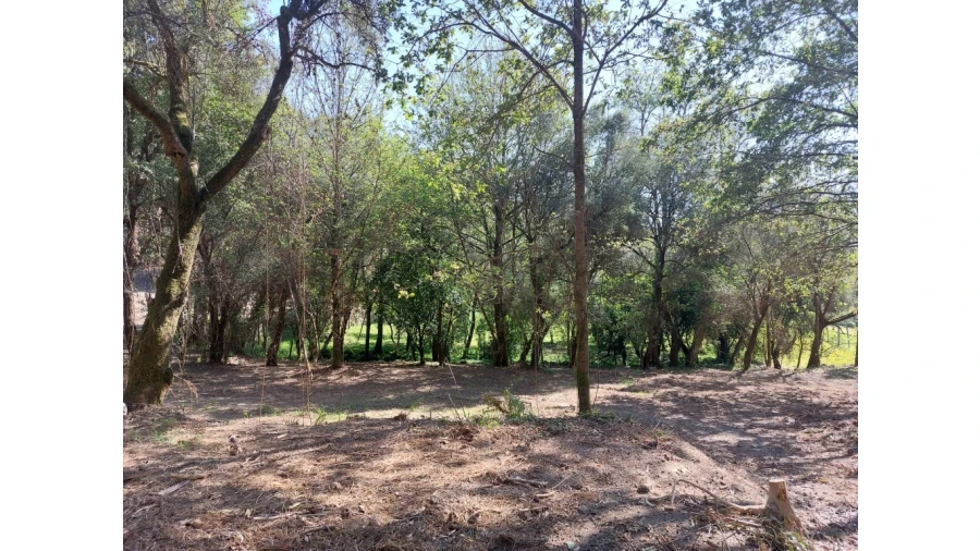 Quinta para Venda em Caires Foto 5