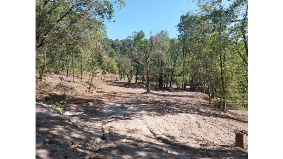 Quinta para Venda em Caires Foto 8