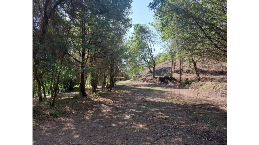 Quinta para Venda em Caires Foto 23