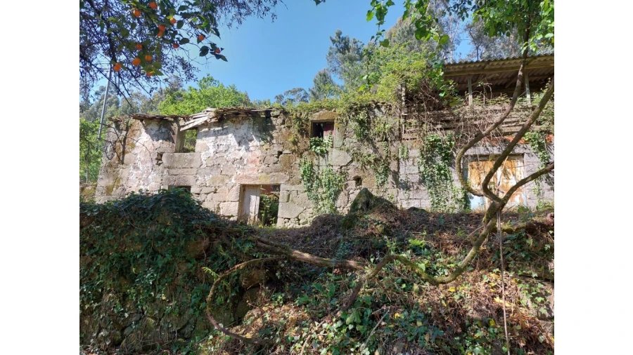 Quinta para Venda em Caires