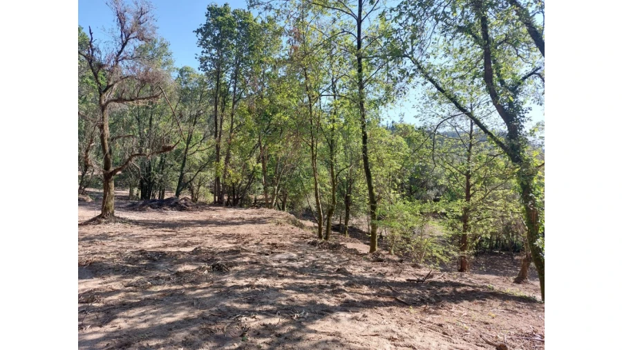 Quinta para Venda em Caires Foto 11