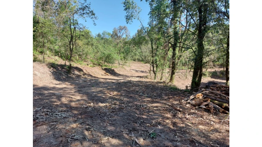 Quinta para Venda em Caires Foto 16