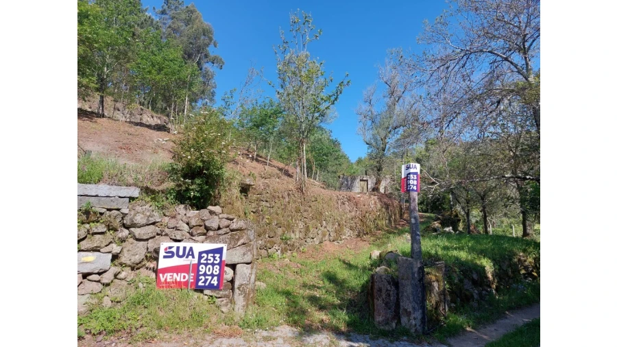 Quinta para Venda em Caires Foto 33