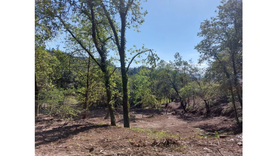 Quinta para Venda em Caires Foto 12