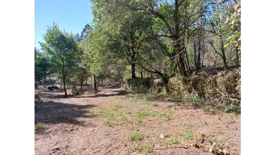 Quinta para Venda em Caires Foto 22