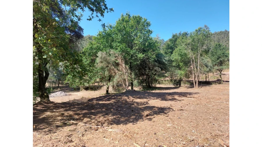 Quinta para Venda em Caires Foto 17