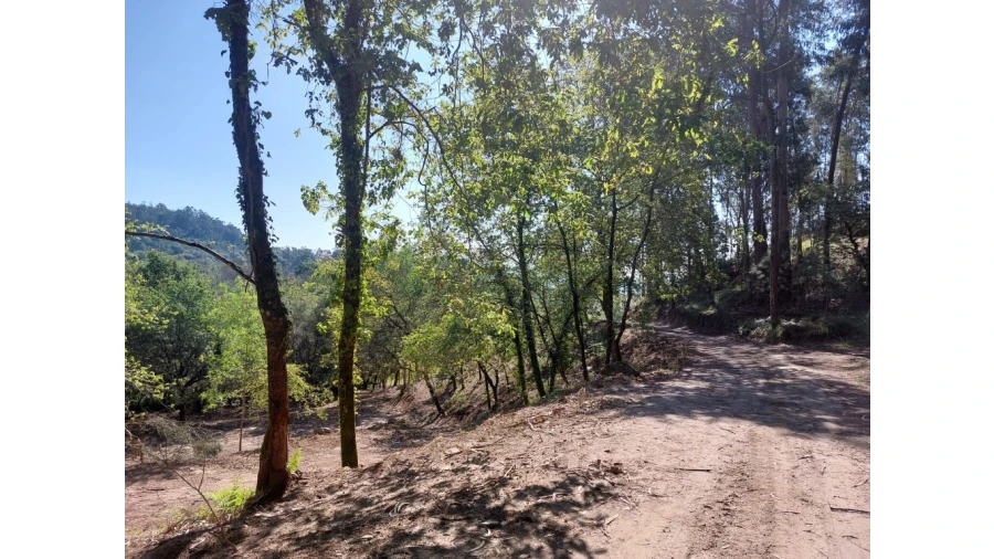 Quinta para Venda em Caires Foto 10