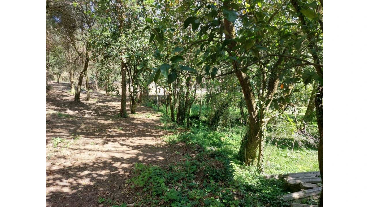 Quinta para Venda em Caires Foto 4