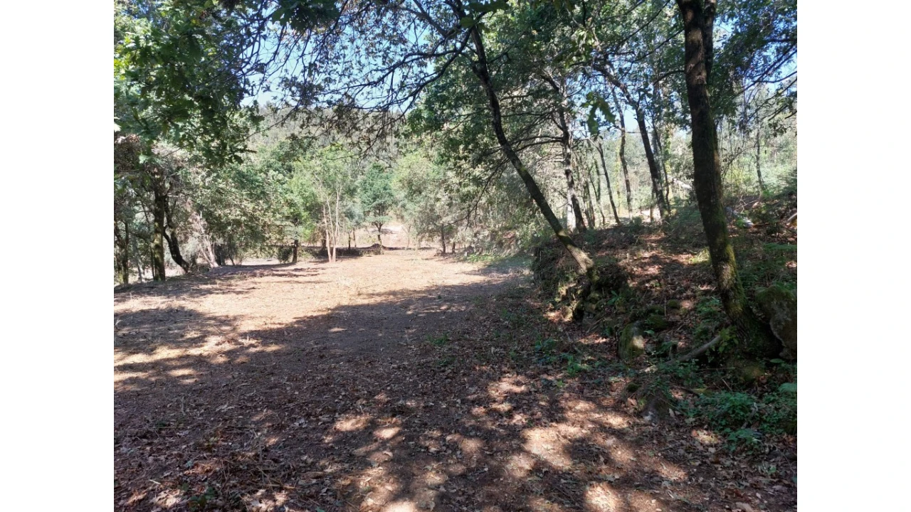 Quinta para Venda em Caires Foto 14