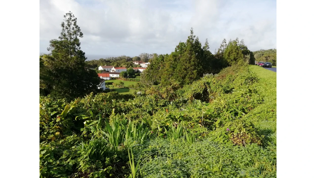 Terreno para Venda em Capelo Foto 3