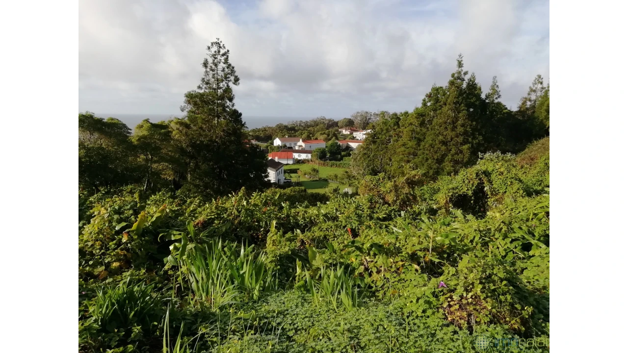 Terreno para Venda em Capelo Foto 2