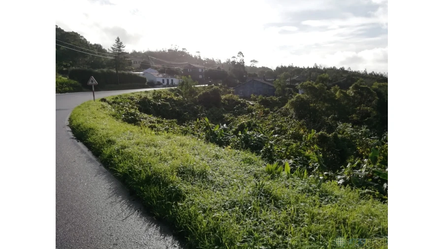 Terreno para Venda em Capelo Foto 5