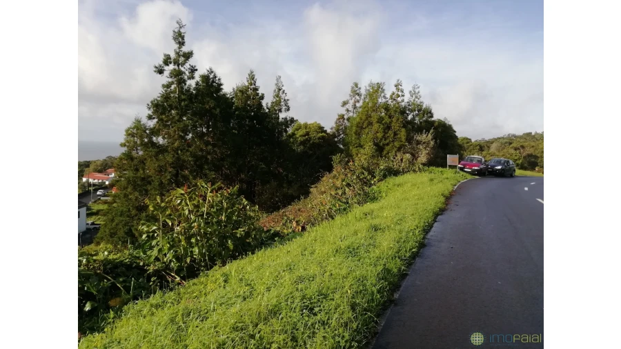 Terreno para Venda em Capelo Foto 4