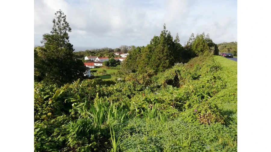 Terreno para Venda em Capelo Foto 3