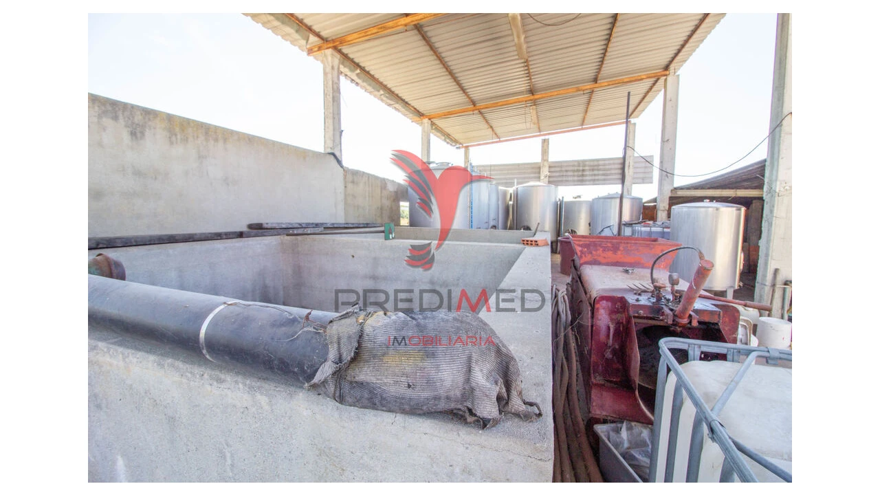 Quinta T3 para Venda em Poceirão e Marateca Foto 12