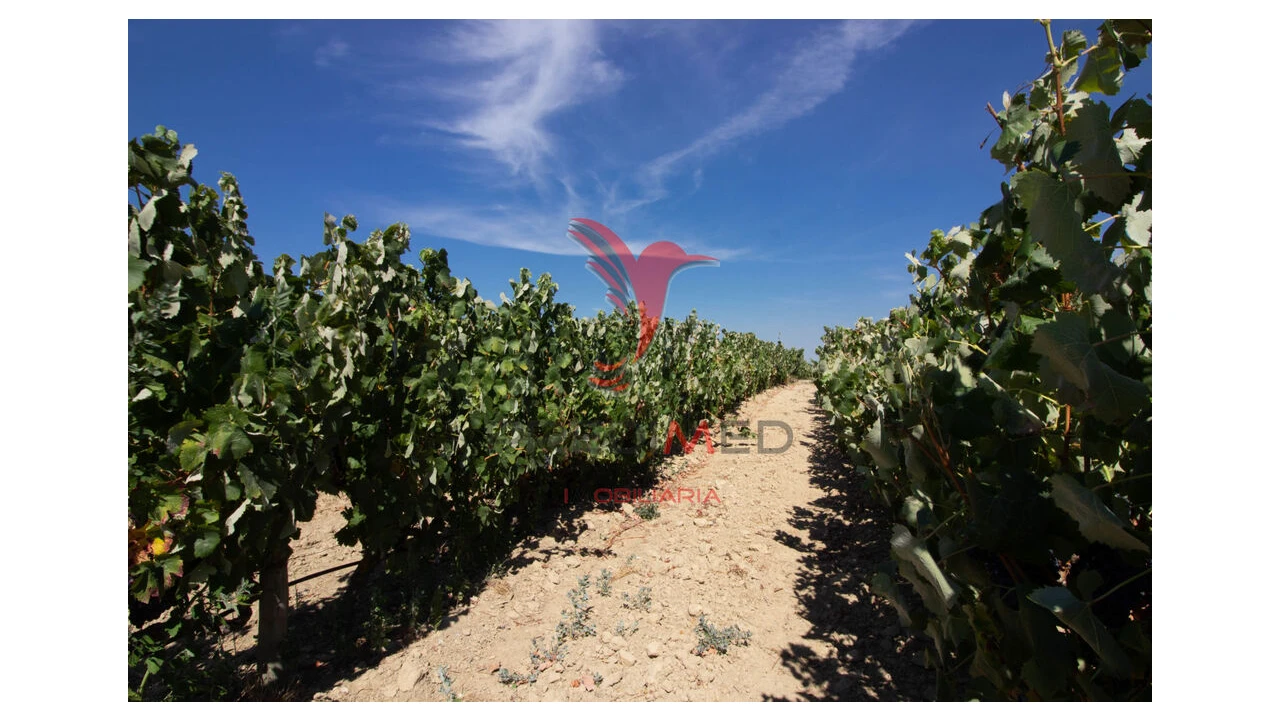 Quinta T3 para Venda em Poceirão e Marateca Foto 18