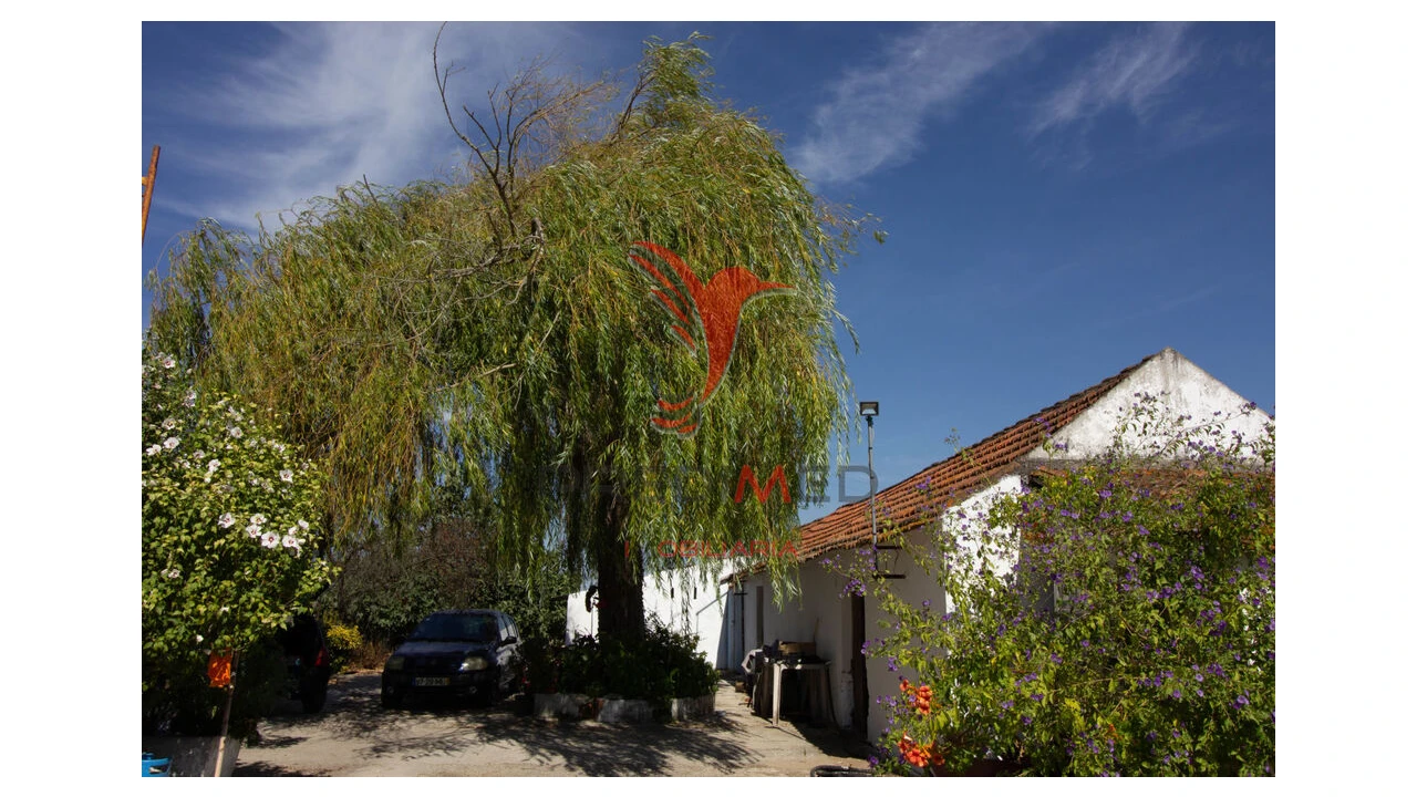 Quinta T3 para Venda em Poceirão e Marateca Foto 15
