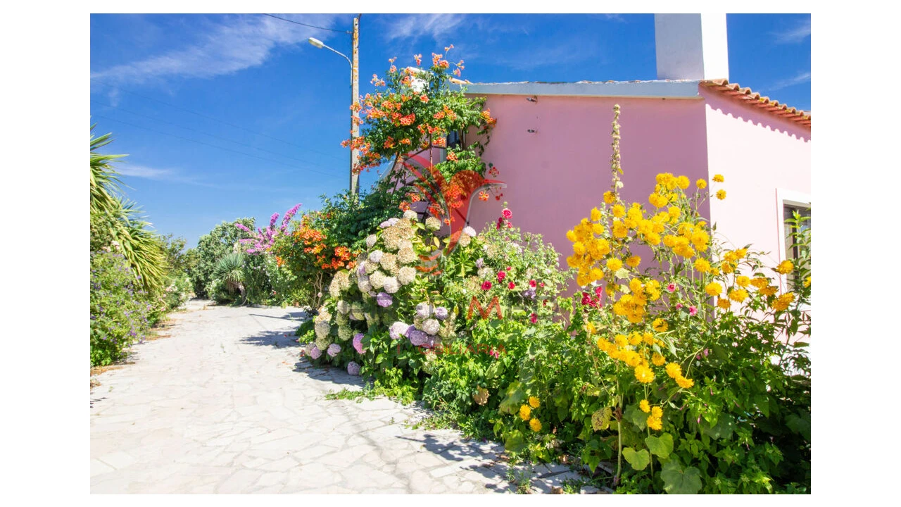 Quinta T3 para Venda em Poceirão e Marateca Foto 5