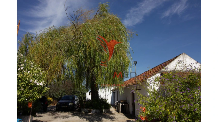 Quinta T3 para Venda em Poceirão e Marateca Foto 15