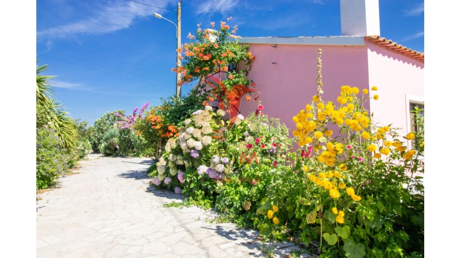 Quinta T3 para Venda em Poceirão e Marateca Foto 5