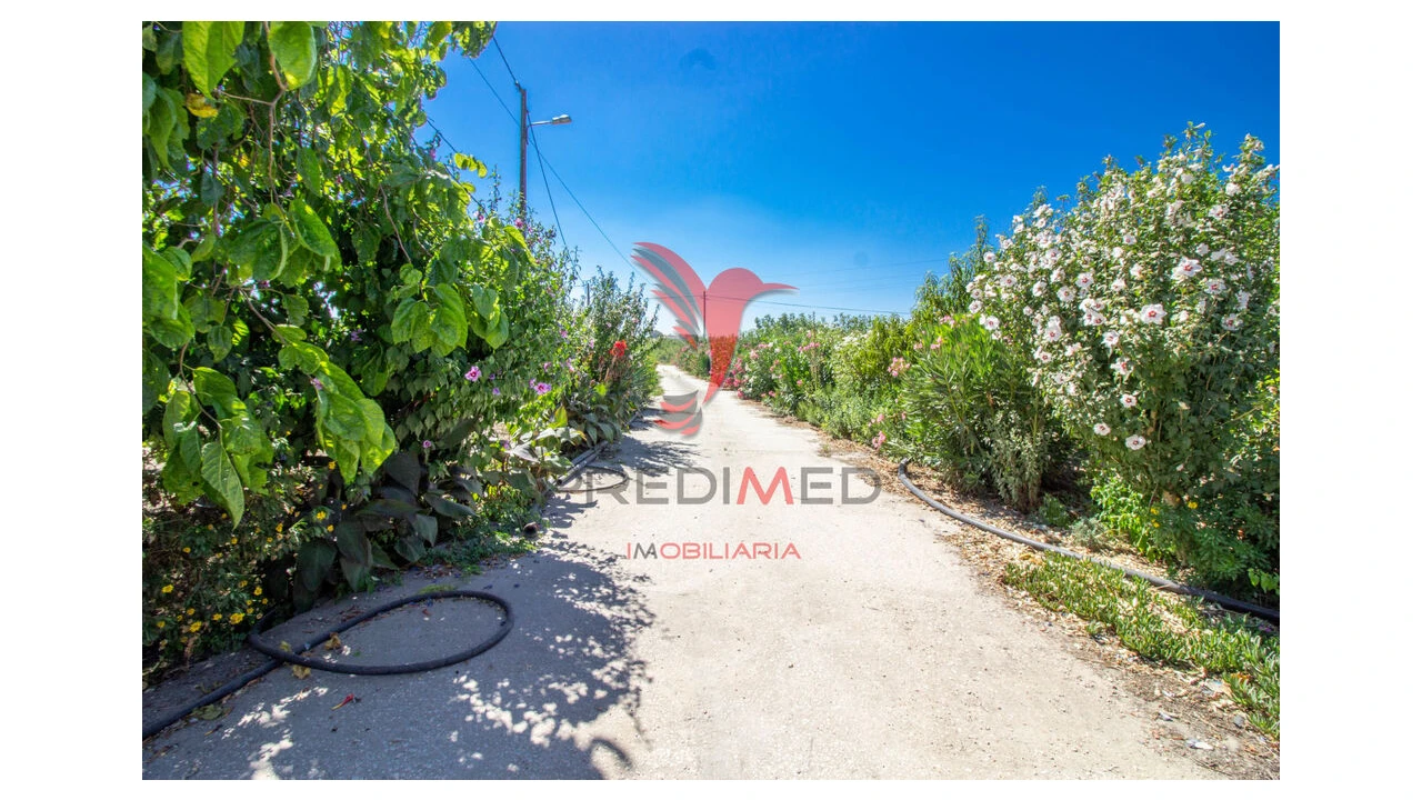 Quinta T3 para Venda em Poceirão e Marateca Foto 16