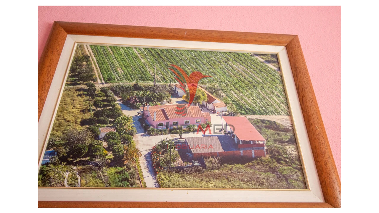 Quinta T3 para Venda em Poceirão e Marateca Foto 1