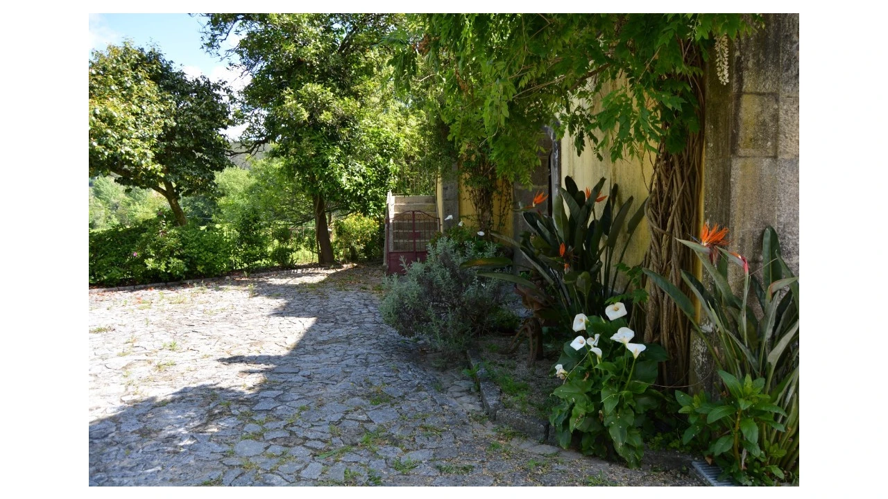 Quinta T5 para Venda em Caldelas, Sequeiros e Paranhos Foto 44