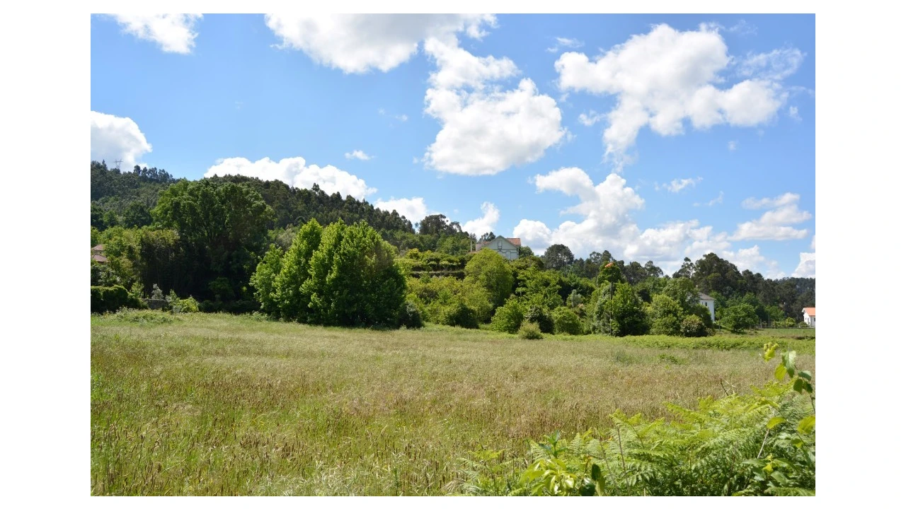 Quinta T5 para Venda em Caldelas, Sequeiros e Paranhos Foto 52