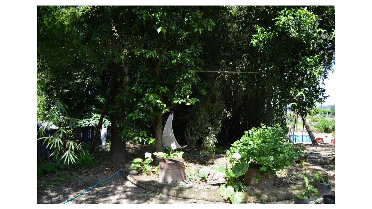 Quinta T5 para Venda em Caldelas, Sequeiros e Paranhos Foto 66