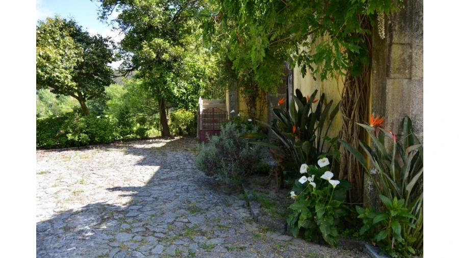 Quinta T5 para Venda em Caldelas, Sequeiros e Paranhos Foto 44