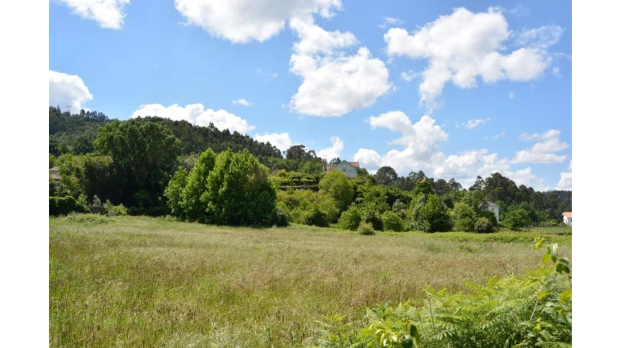 Quinta T5 para Venda em Caldelas, Sequeiros e Paranhos Foto 52